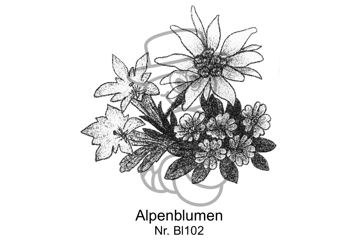 Alpenblumen