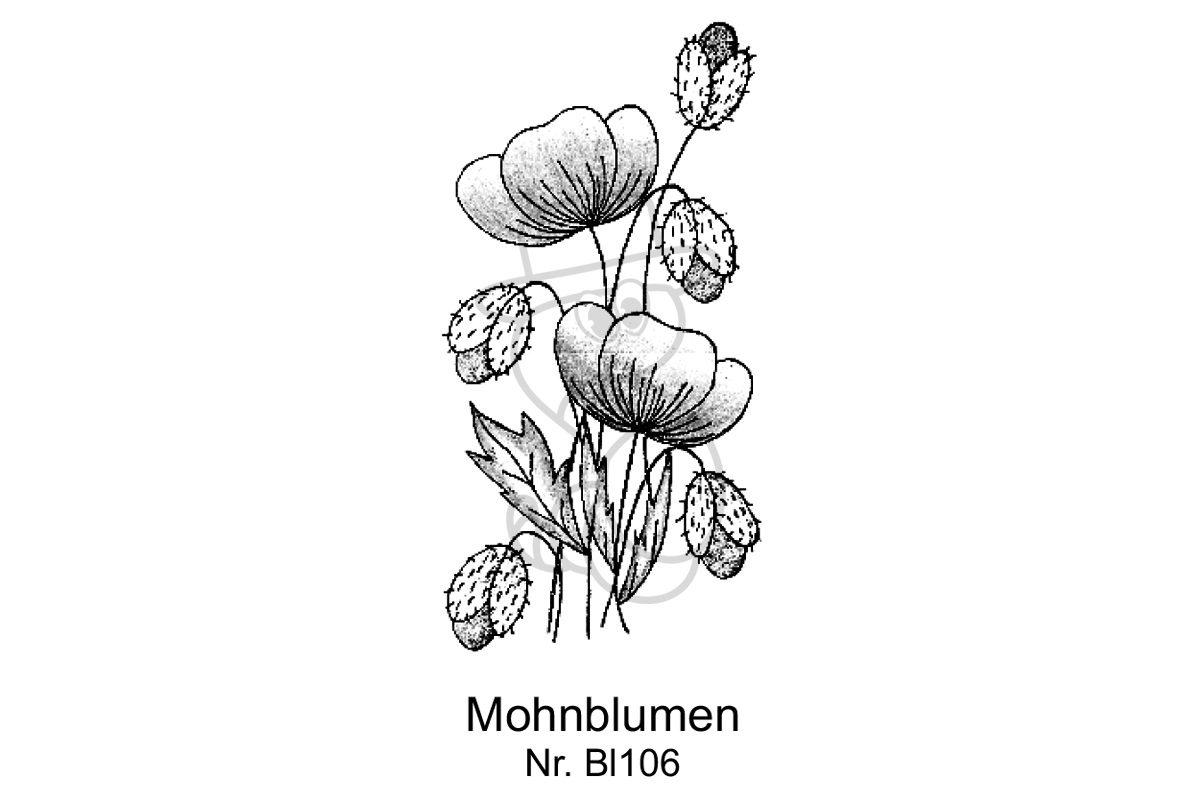 Mohnblumen