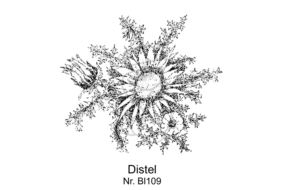 Distel