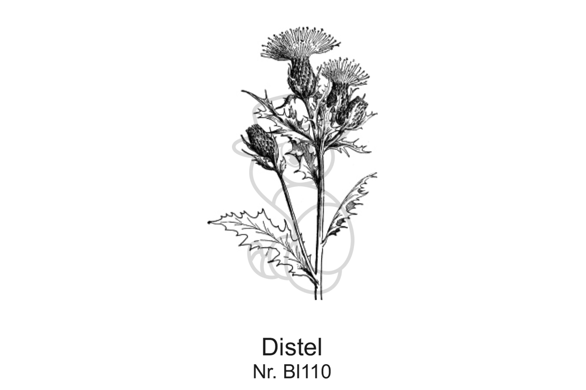 Distel