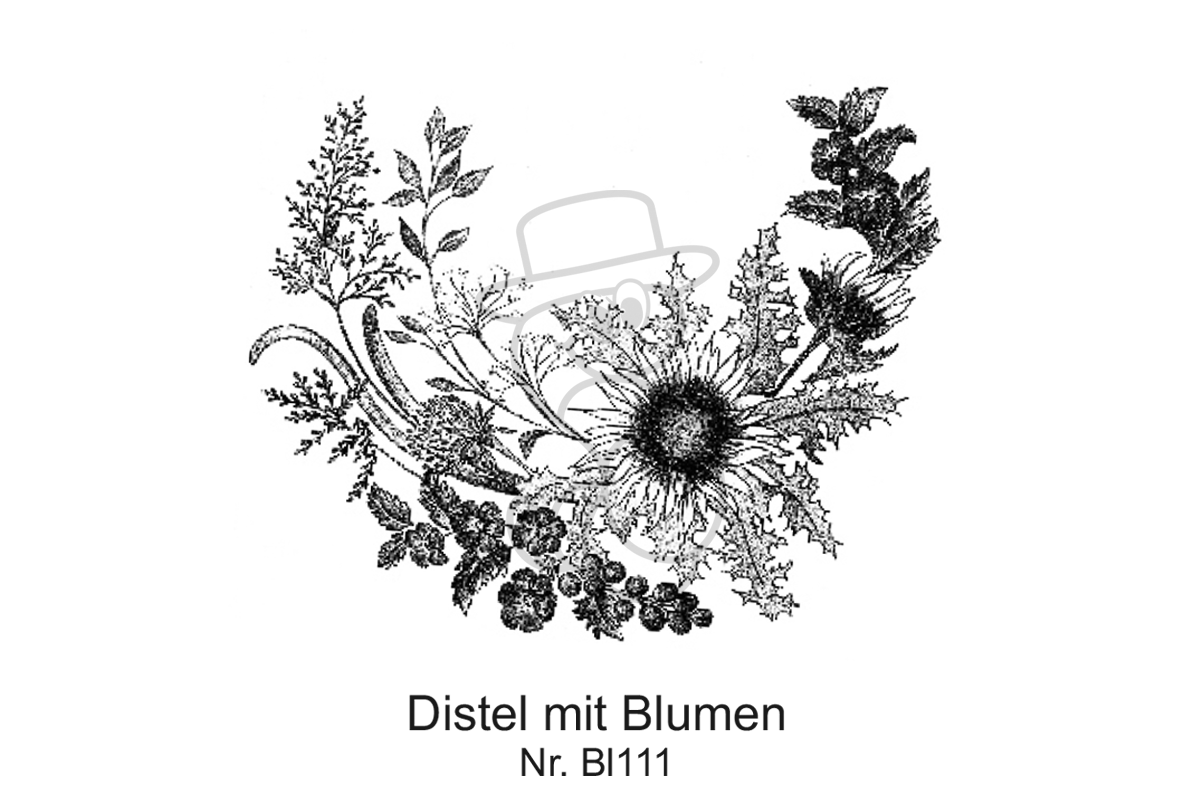 Distel mit Blumen