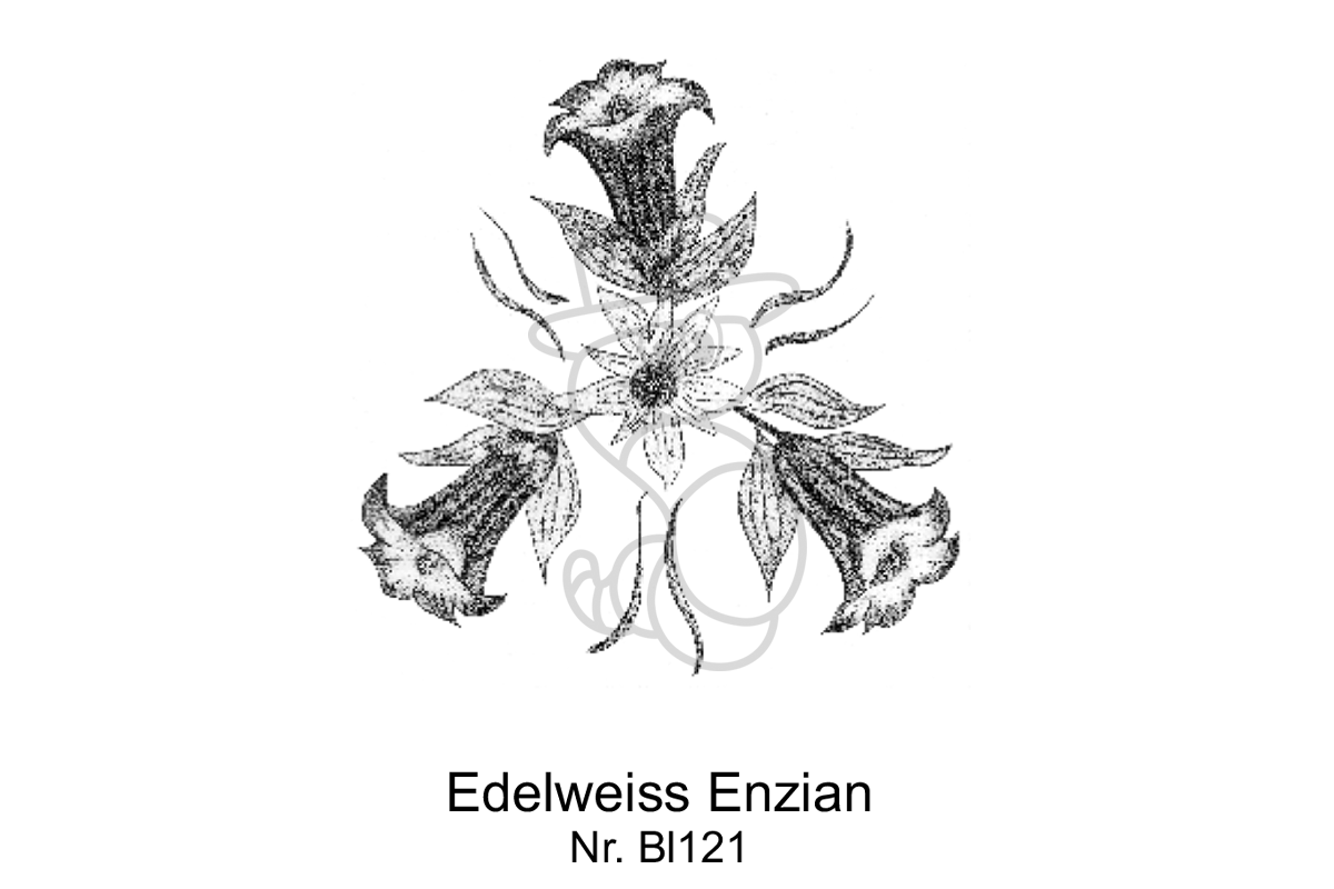 Edelweiss Enzian