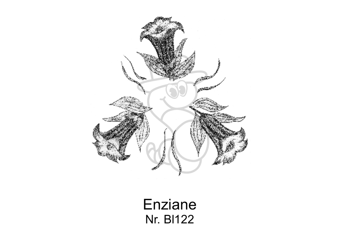 Enziane