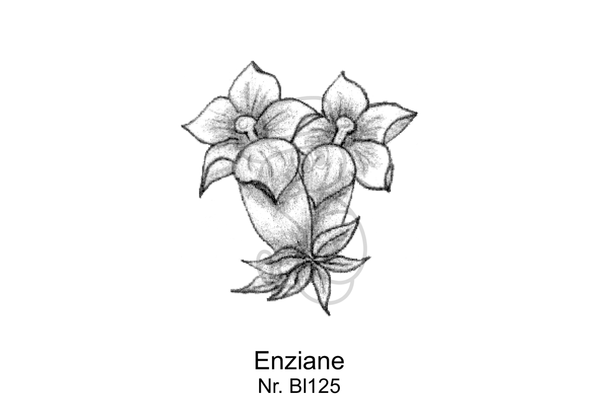 Enziane