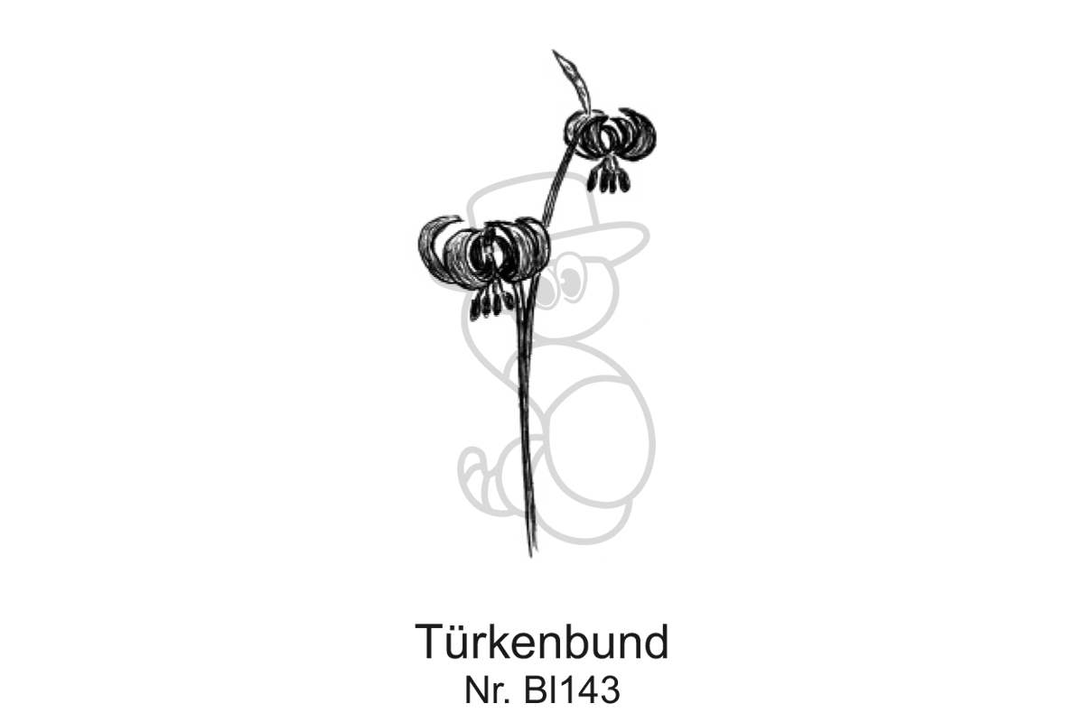 Tuerkenbund