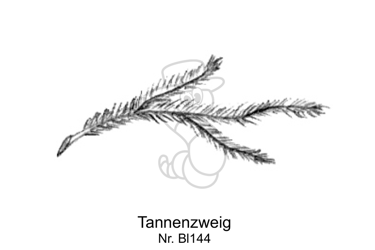 Tannenzweig