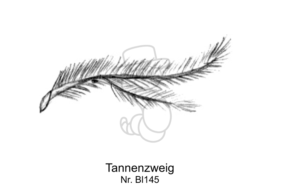 Tannenzweig