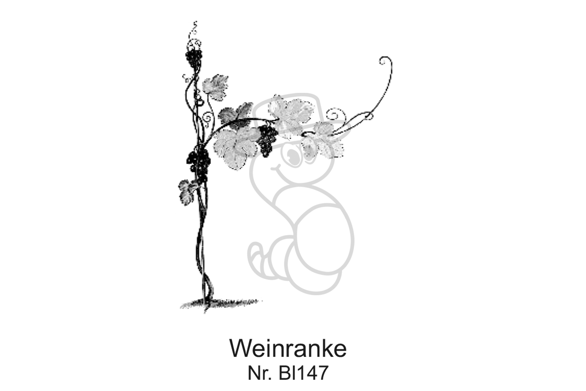 Weinranke