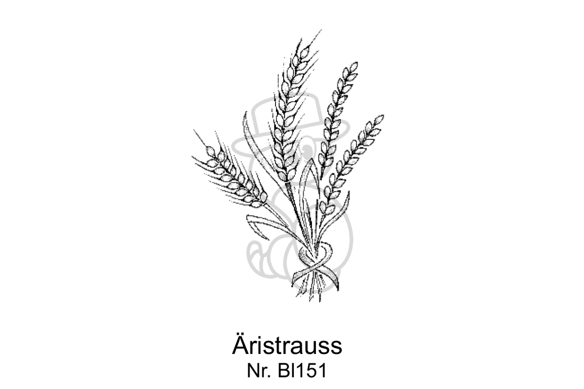 Aeristrauss